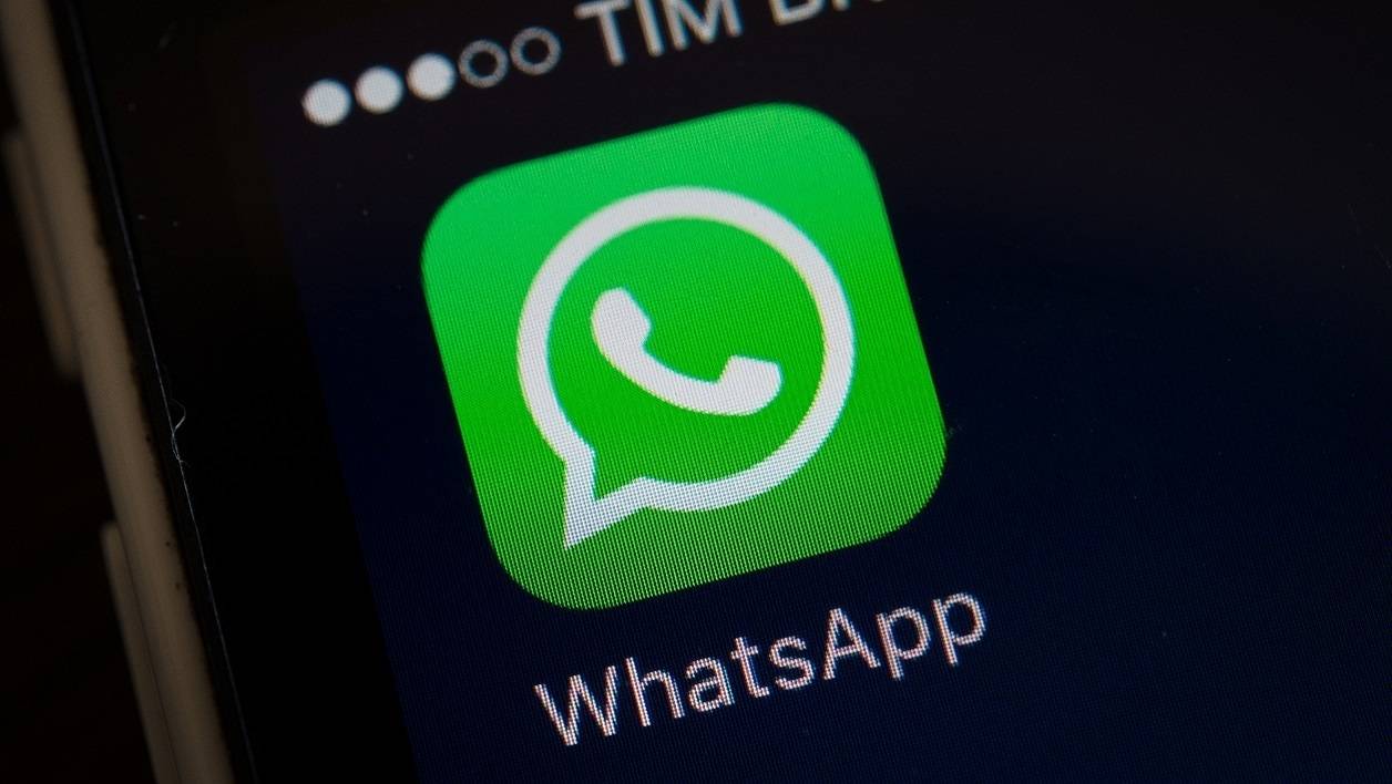 WhatsApp群组互动策略揭秘，提升沟通效率的关键要素分享