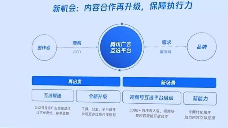 优化WhatsApp视频通话，实现无缝远程交流体验
