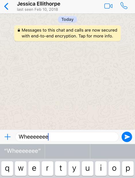 WhatsApp消息加密指南，保障聊天安全的全面方法