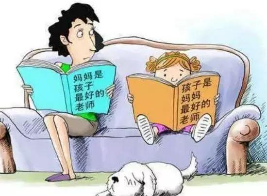 群公告提醒功能详解，确保重要事项零遗漏！