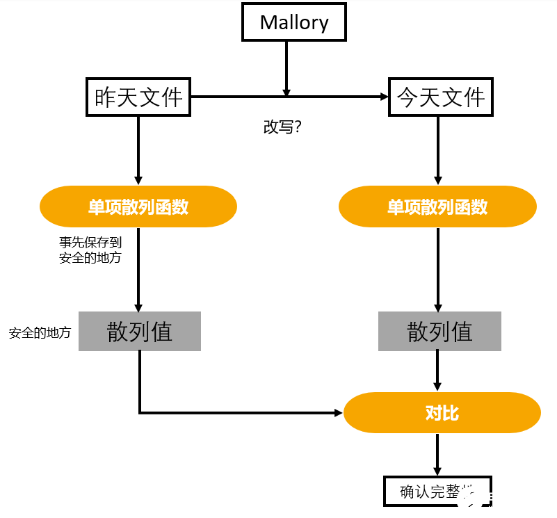 信息保护全攻略，消息安全与加密的综合指南