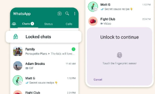 如何使用WhatsApp加密功能确保聊天安全？