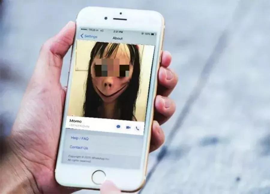 WhatsApp消息自动提醒设置指南，提升沟通效率