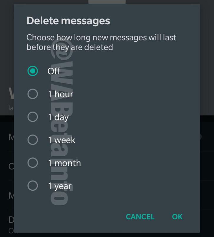 WhatsApp聊天列表自动整理终极指南，高效管理聊天记录的实用技巧